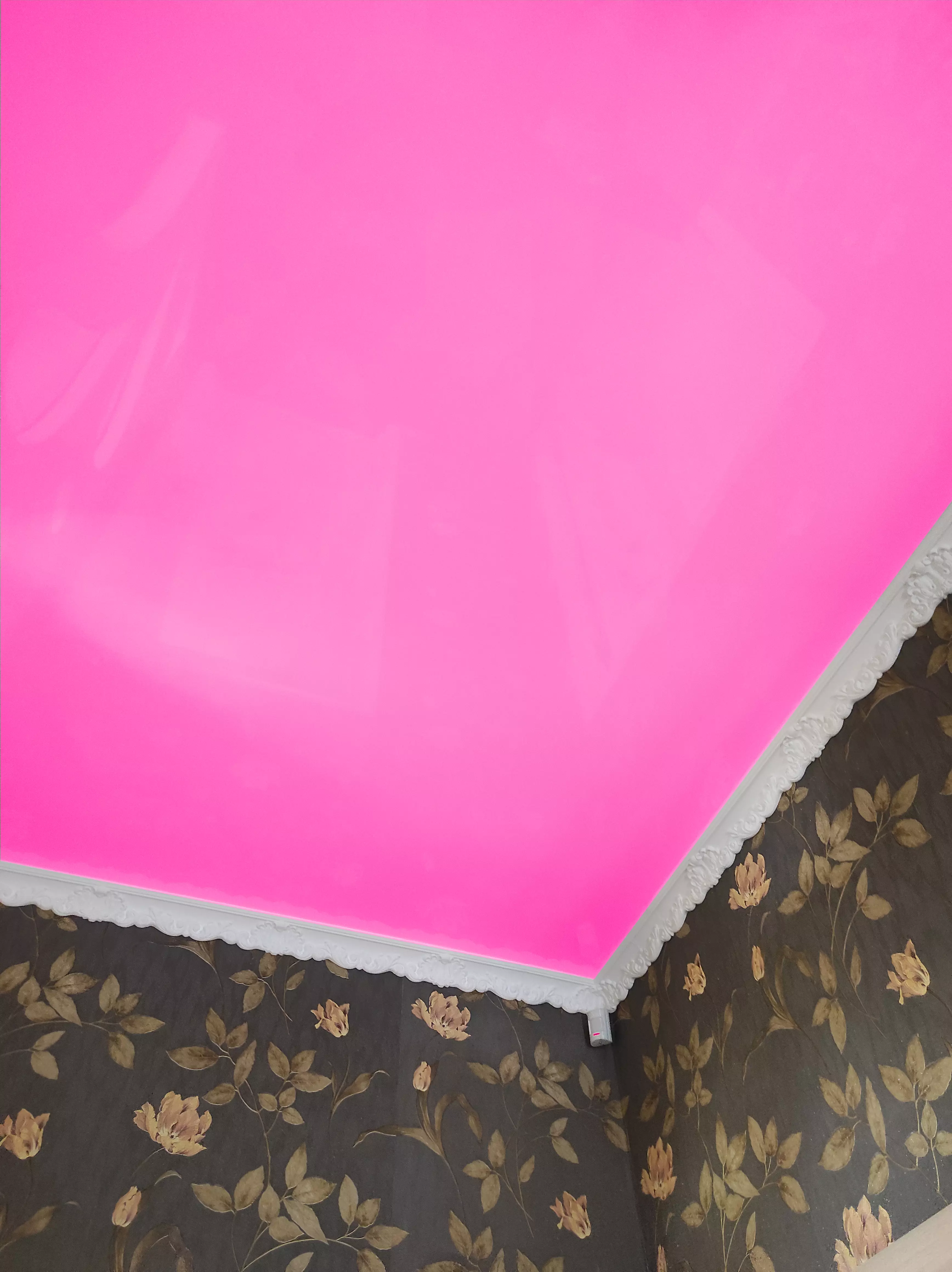 Саки, , фото 2