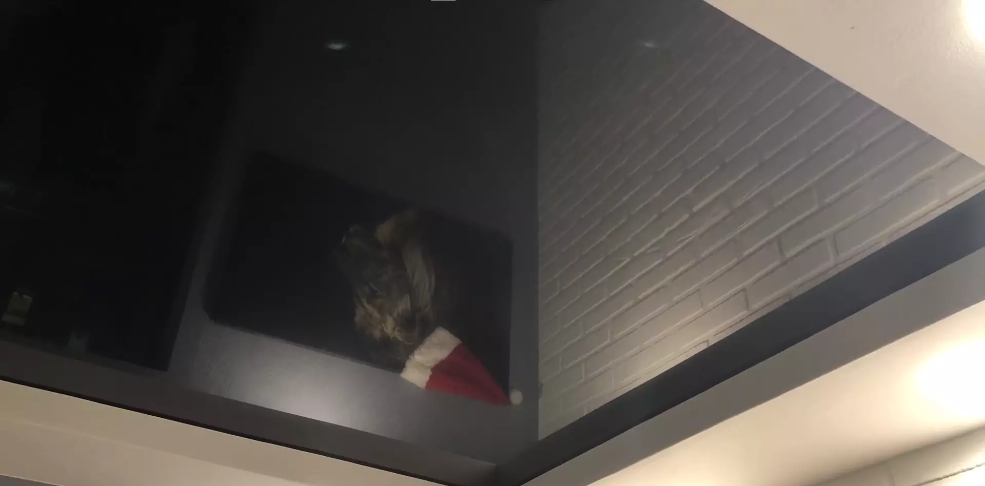 Сыктывкар, улица Пушкина, 114, фото 3