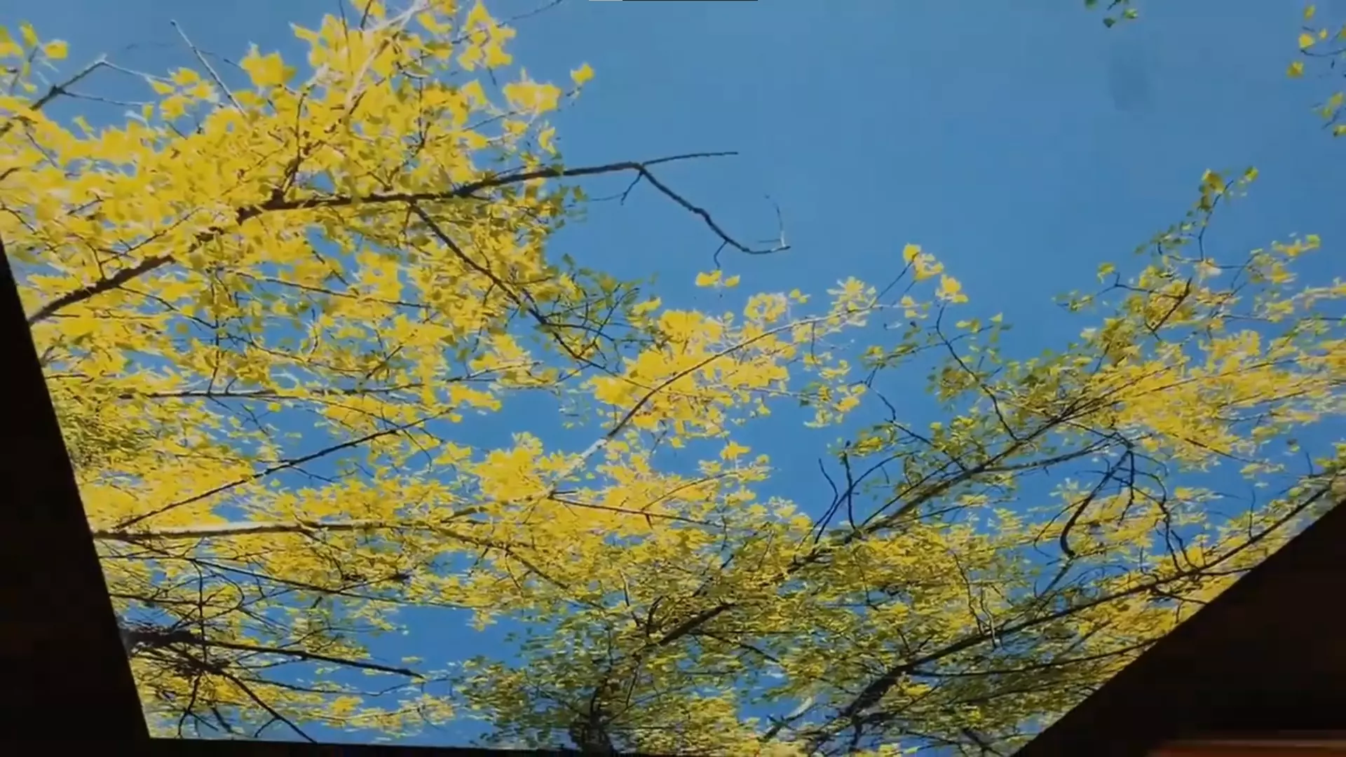 Сыктывкар, Тентюковская, 122, фото 2