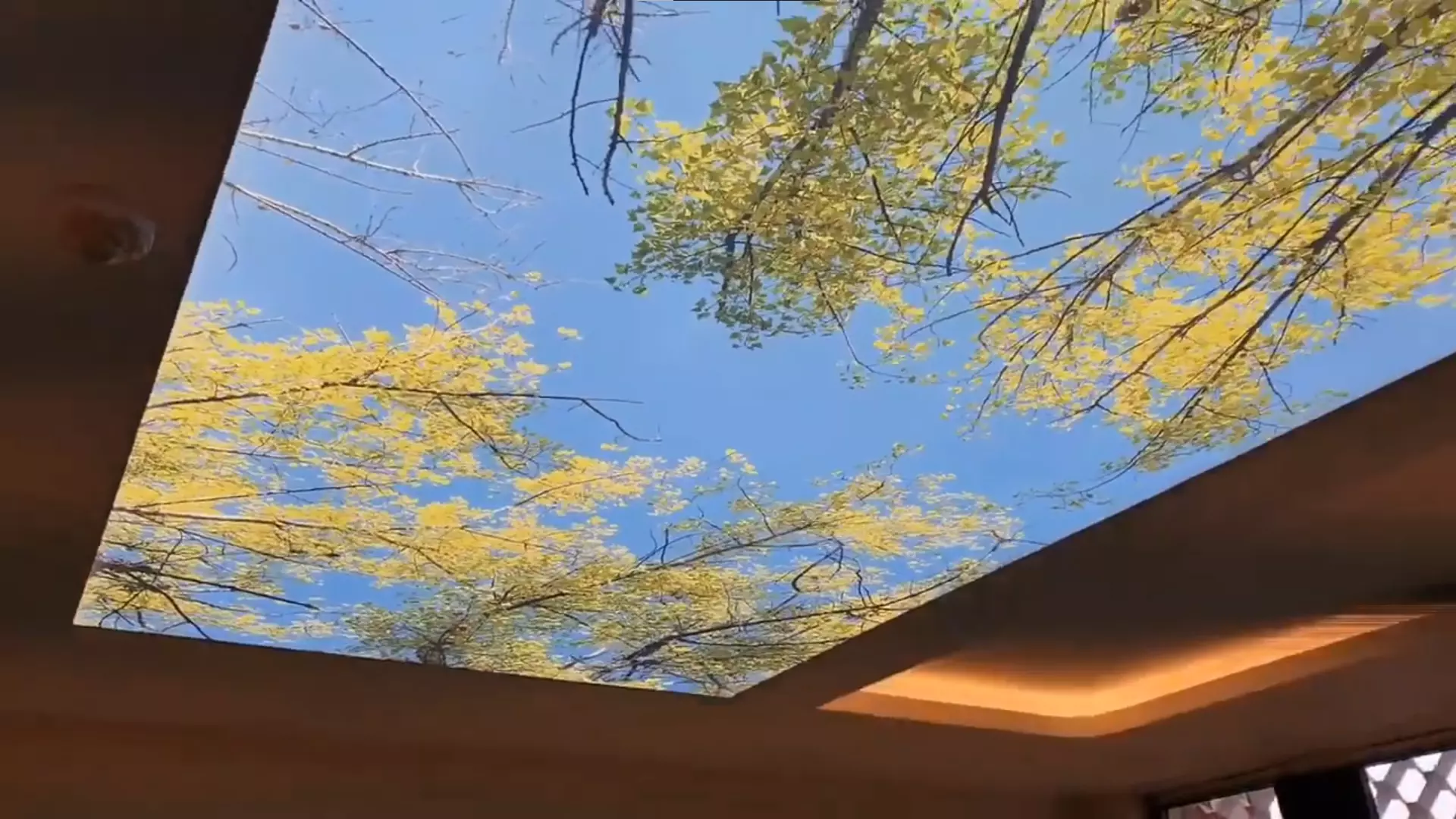 Сыктывкар, Тентюковская, 122, фото 3