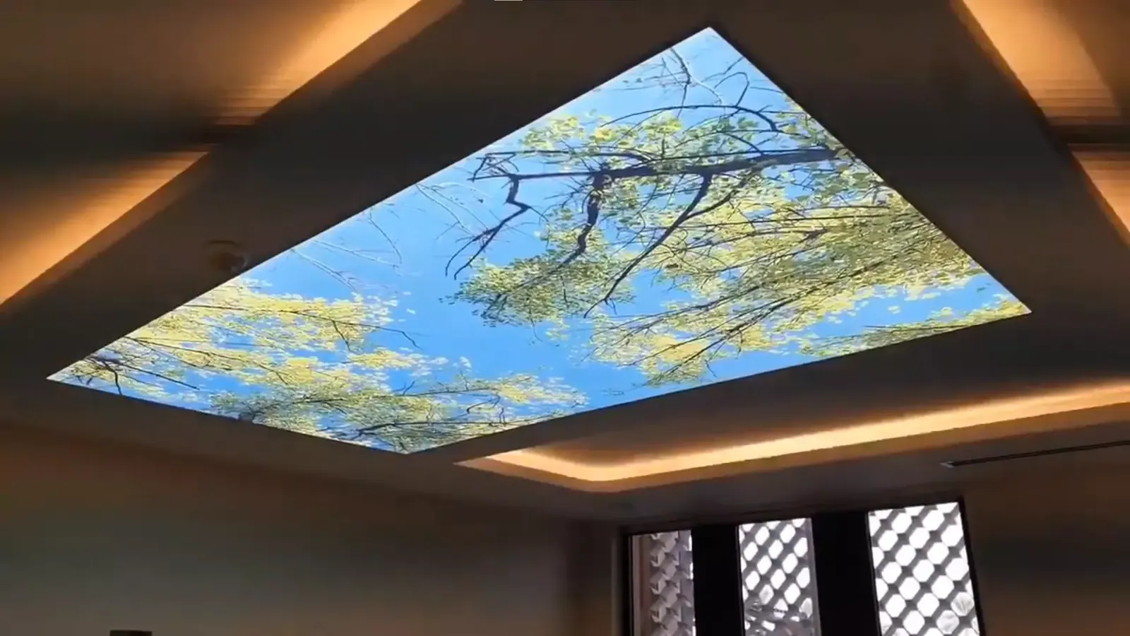 3D натяжной потолок — Сыктывкар, Интернациональная, 157, фото 1